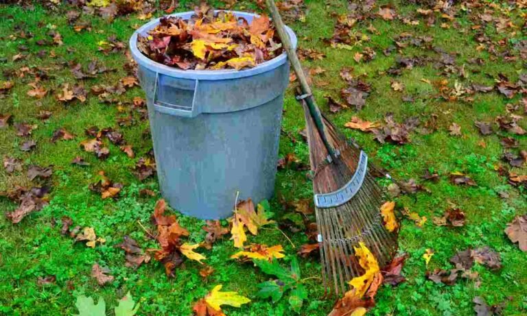 What Day Is Leaf Pickup in Bristol, PA 19007