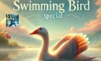 what is a fortunate swimming bird